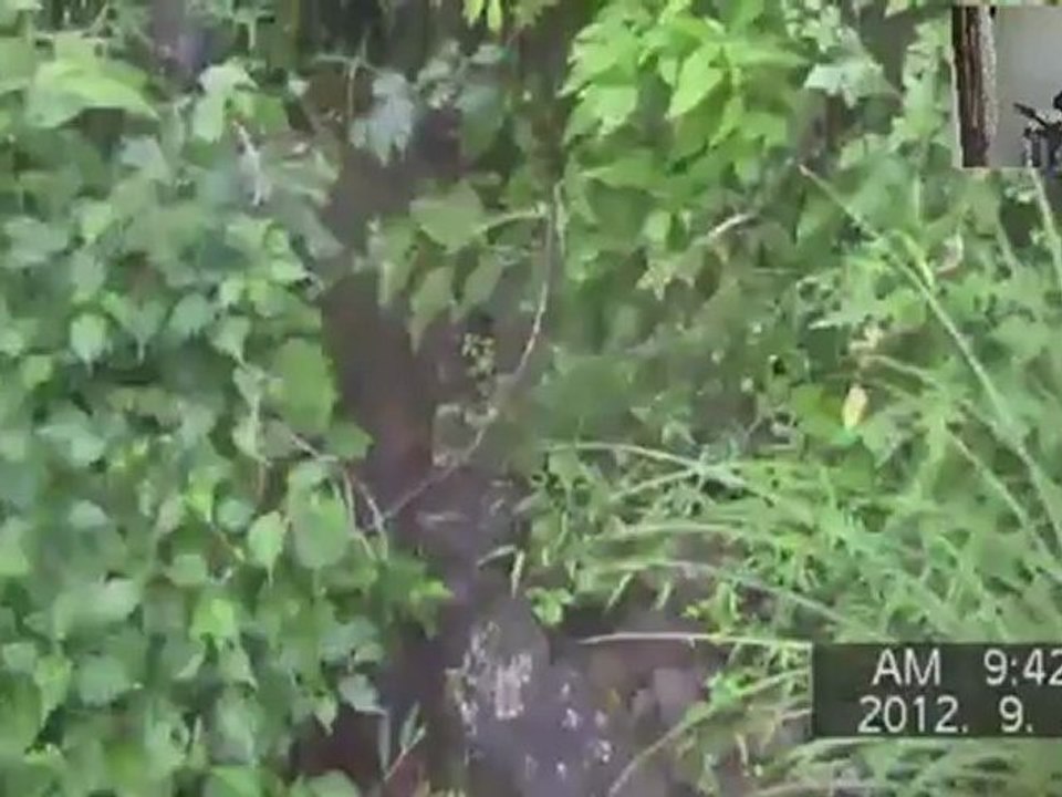 続はぐれ路　富士登山再放送120924