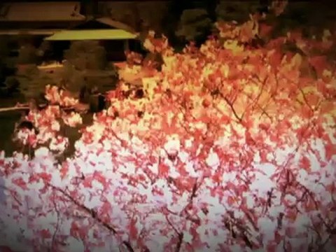 TV3 - Cap de setmana, al migidia a TV3 - F1; G.P. del Japó