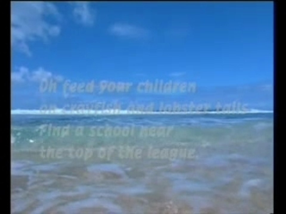 Jarvis Cocker - Running the world