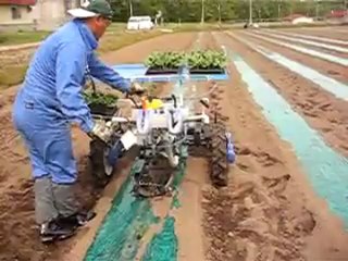 Malç Üzerine Fide Dikme Makinesi