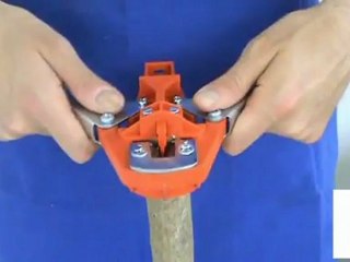 Kalem Aşısı Yapan Makas