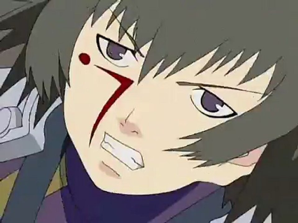 Raven Shadow
