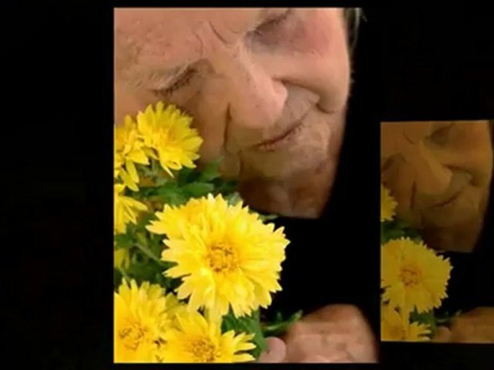 Probate Services in Hartford and Westport, CT