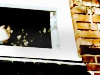 Infamous British Criminals - DVD Trailer