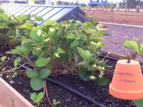 Agricultural Investments - EU's biggest farming roof