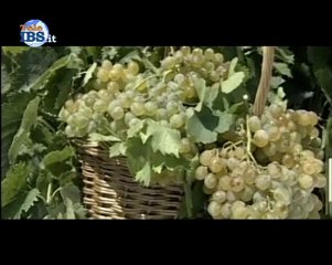 Spot Elettorale Doriana Licata