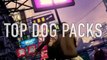 Sleeping Dogs - DLC Trailer (Street Racer & SWAT Pack)