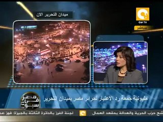 د. عمرو الشوبكي .. معاناة المستقلين فى الانتخابات