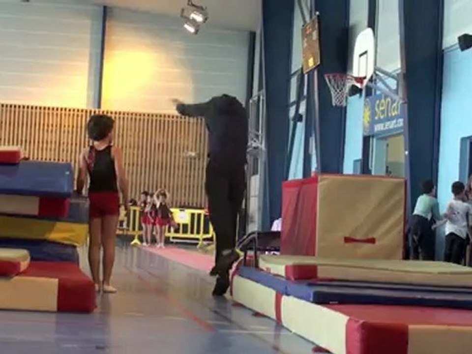 Finale de zone de gymnastique par équipes poussin 2012