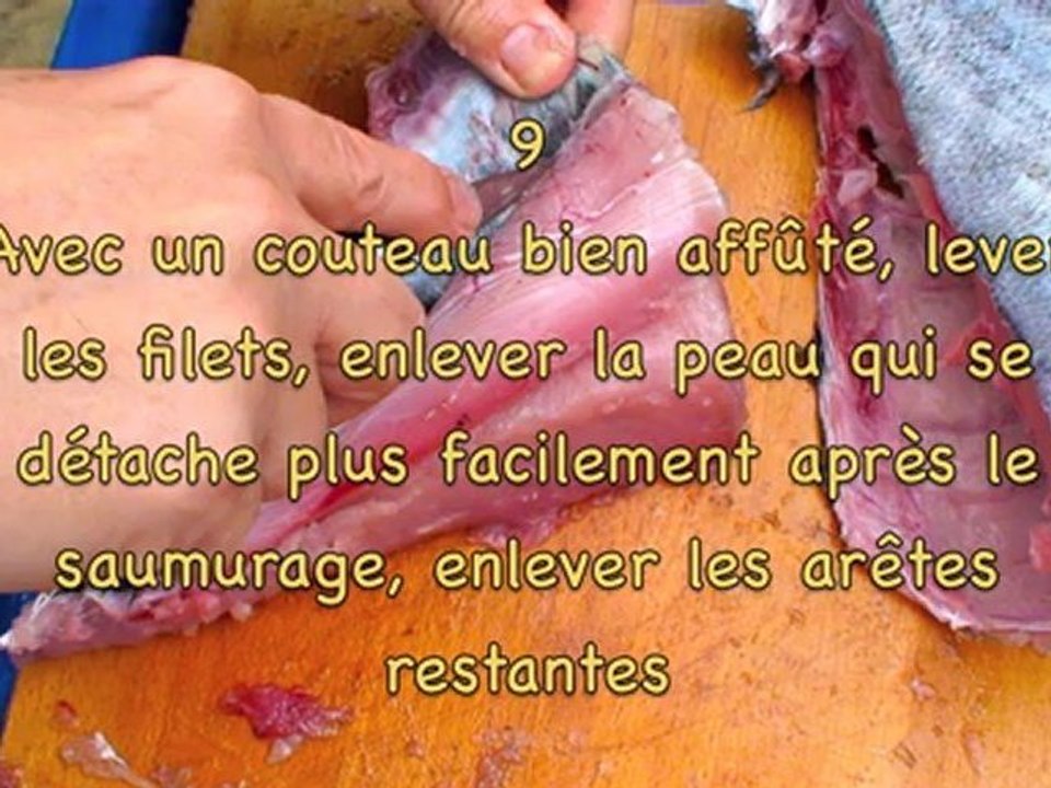 Conserve de thon du BICHE