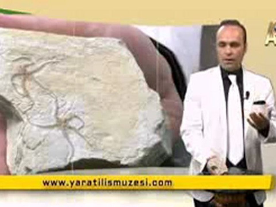 MİLYONLARCA YILDIR DEĞİŞMEYEN YILAN YILDIZLARI