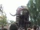éléphant royal de luxe dans la foule