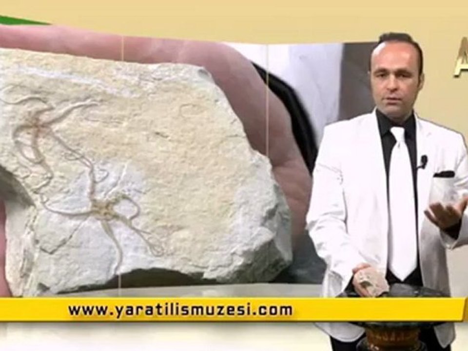 MİLYONLARCA YILDIR DEĞİŞMEYEN YILAN YILDIZLARI