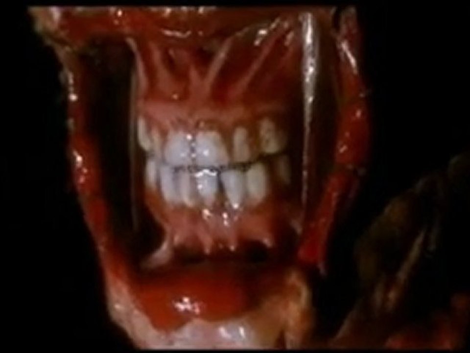 ( Neophyte   Tha Playah ft. MC Alee - Tijdbom )