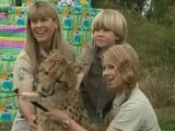 Steve Irwin's son feeds his first crocodile