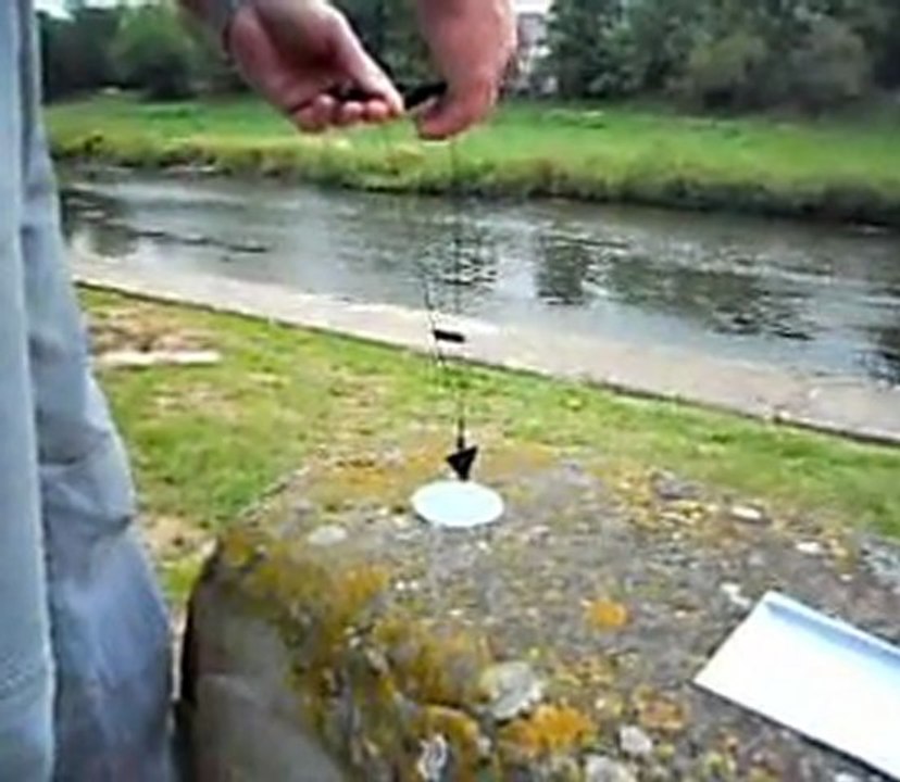 Le Détecteur de Polarité et Point Yin-Yang Lagrange ( France ) .