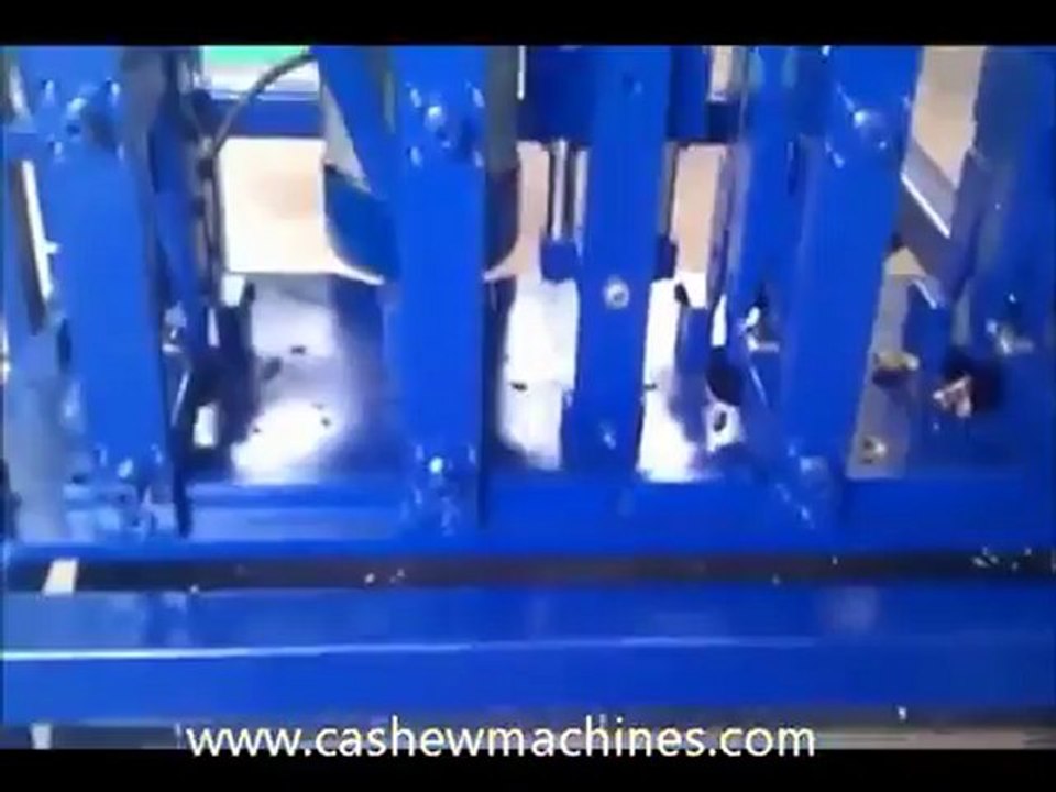 Cashew Nuts Processing from Gayathri Industries