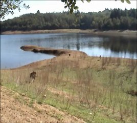 les coussinets en balade, 05-10-2012
