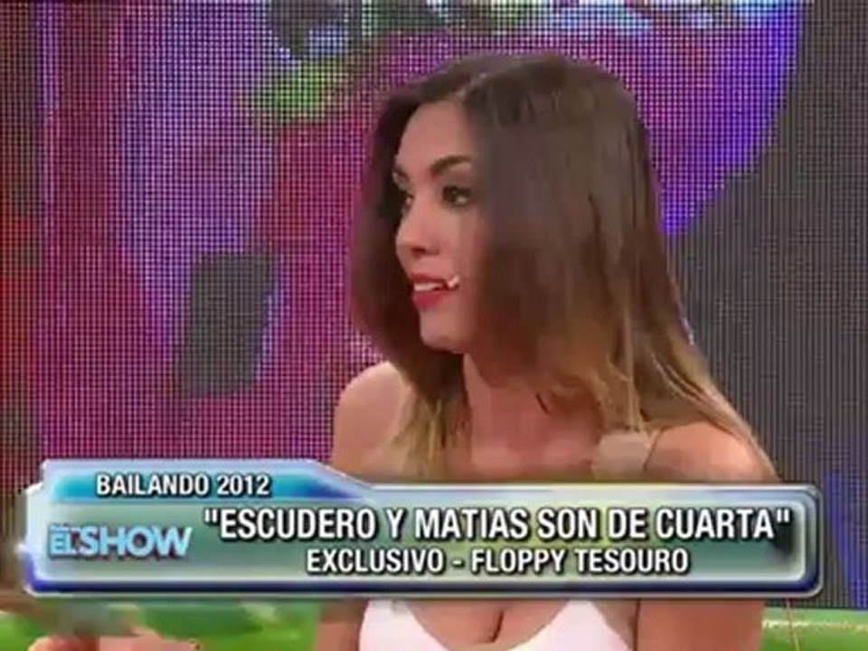 Floppy Tesouro en EEES