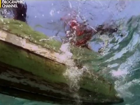 Браконьеры Юго-Восточной Азии