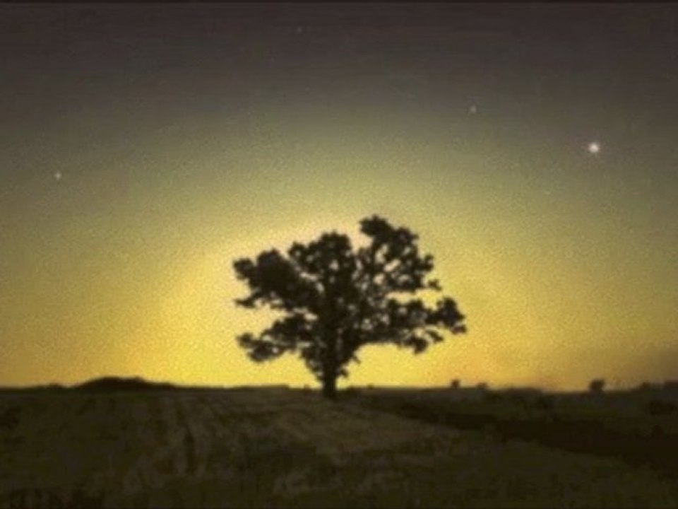 Phaeleh - Should Be True