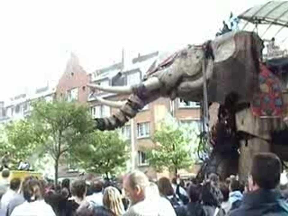 éléphant arrose la foule