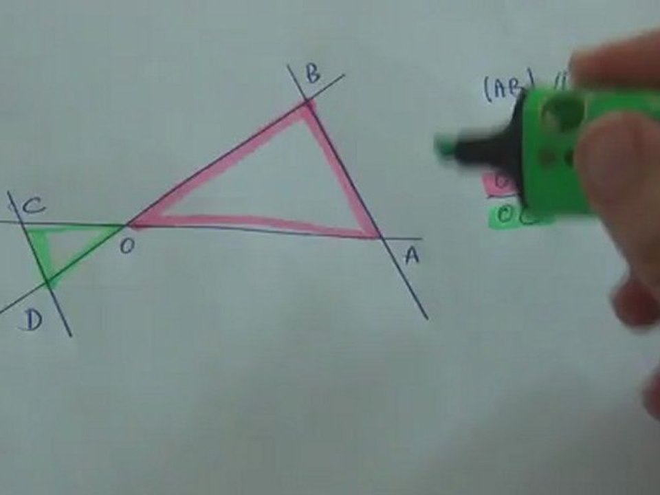 Thalespapillon