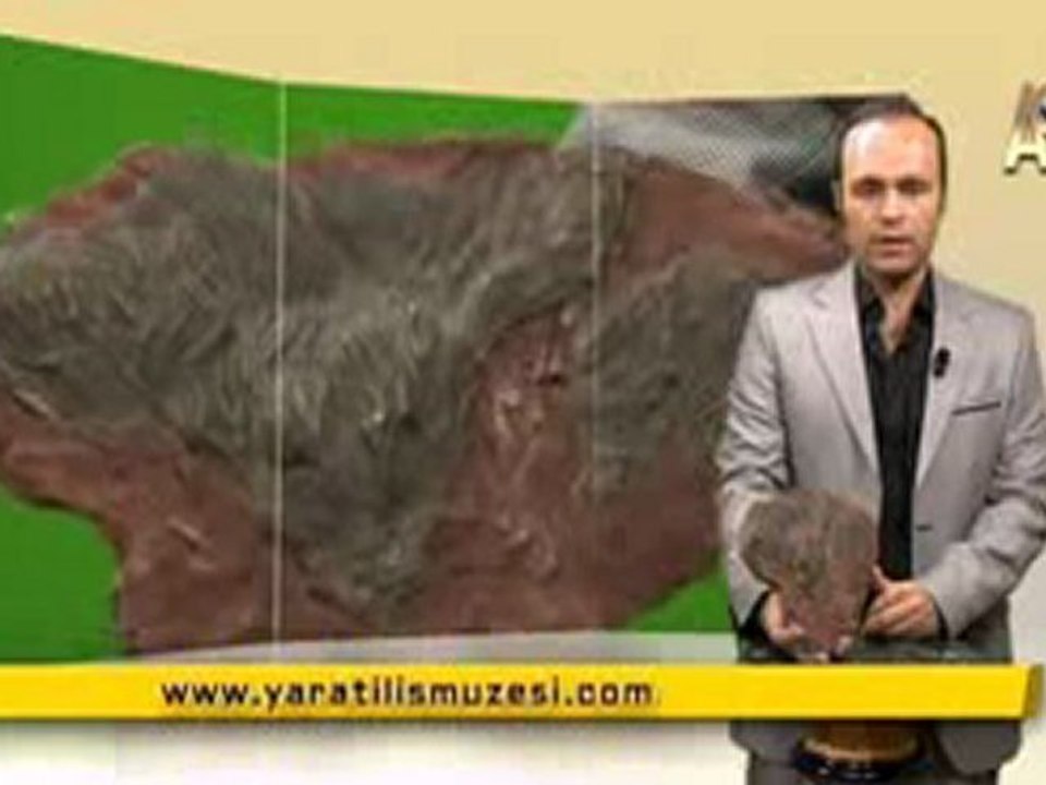 MİLYONLARCA YILDIR DEĞİŞMEYEN DENİZ LALELERİ