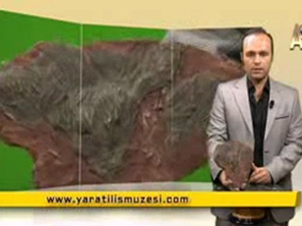 MİLYONLARCA YILDIR DEĞİŞMEYEN DENİZ LALELERİ -