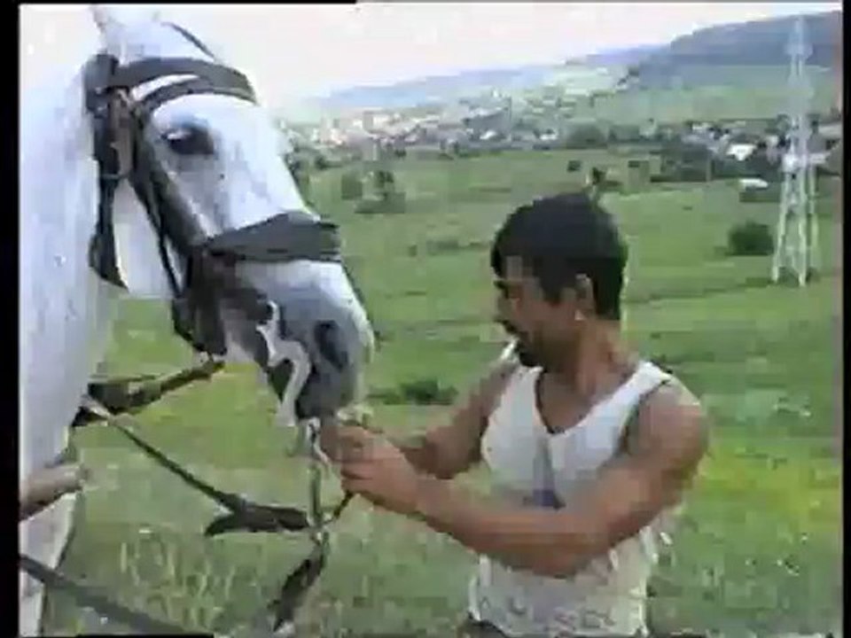 Székelyföld szubjektíven át