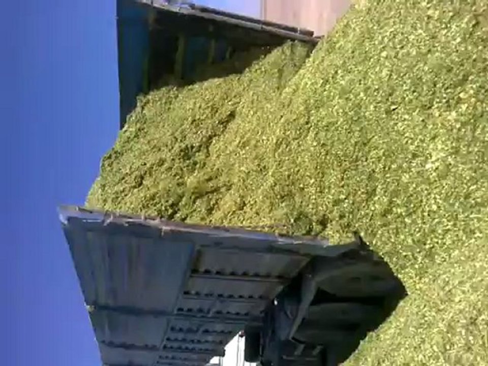 uzunoba tarım