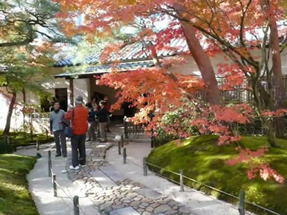 森山良子　ことばは風