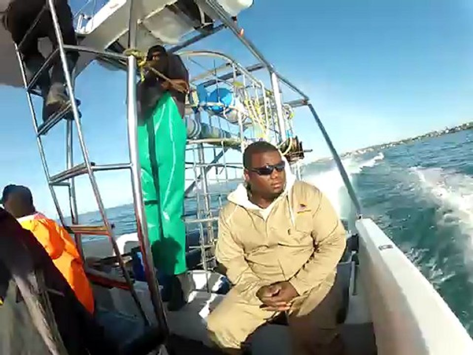 Shark before 1