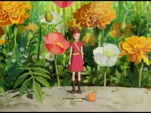 Cécile Corbel rencontre Nolwenn Leroy- France3