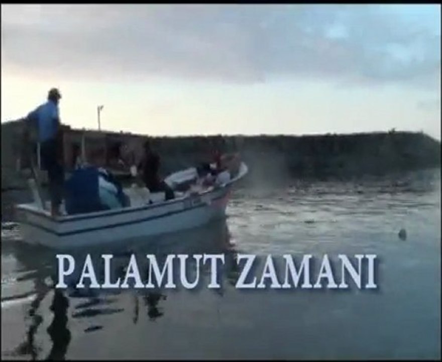 Palamut Zamanı