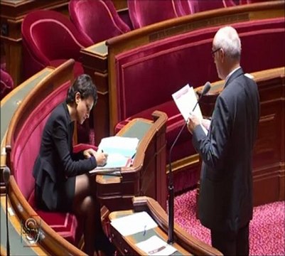 Francis Grignon, Sénateur du Bas-Rhin : Détournement des règles communautaires de détachement des travailleurs dans le secteur du bâtiment