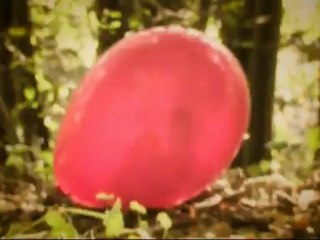 Ceren Çalıkuşu - Birdenbire