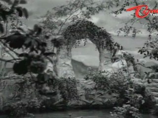 Kotalo Paga Songs - Guvva Gudekke - Jayasudha - Ramakrishna