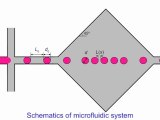 Droplet assembly in a microfluidic chamber