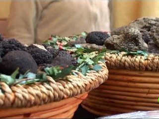 Download Video: Video: torna il Tartufo sulle tavole di Sant'Agata