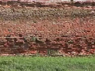 3000 firme per le mura