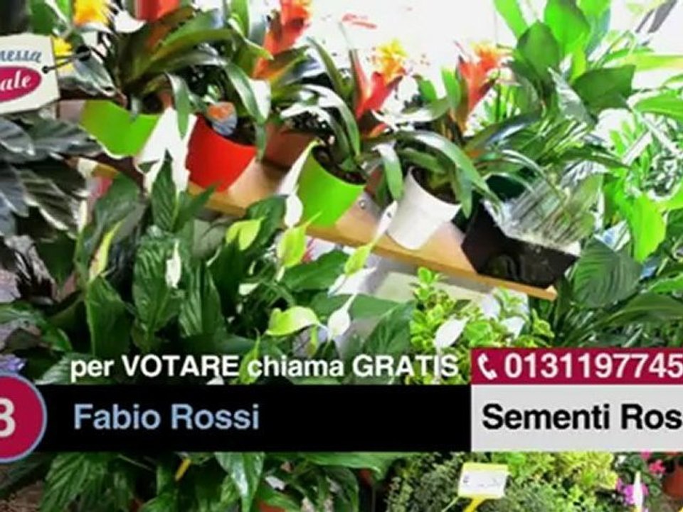 COMMESSA IDEALE 2012 - BLOCCO 3
