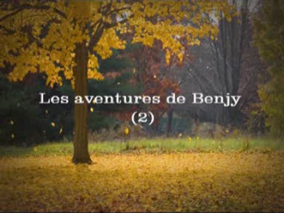 chaton BENJY aventure suite