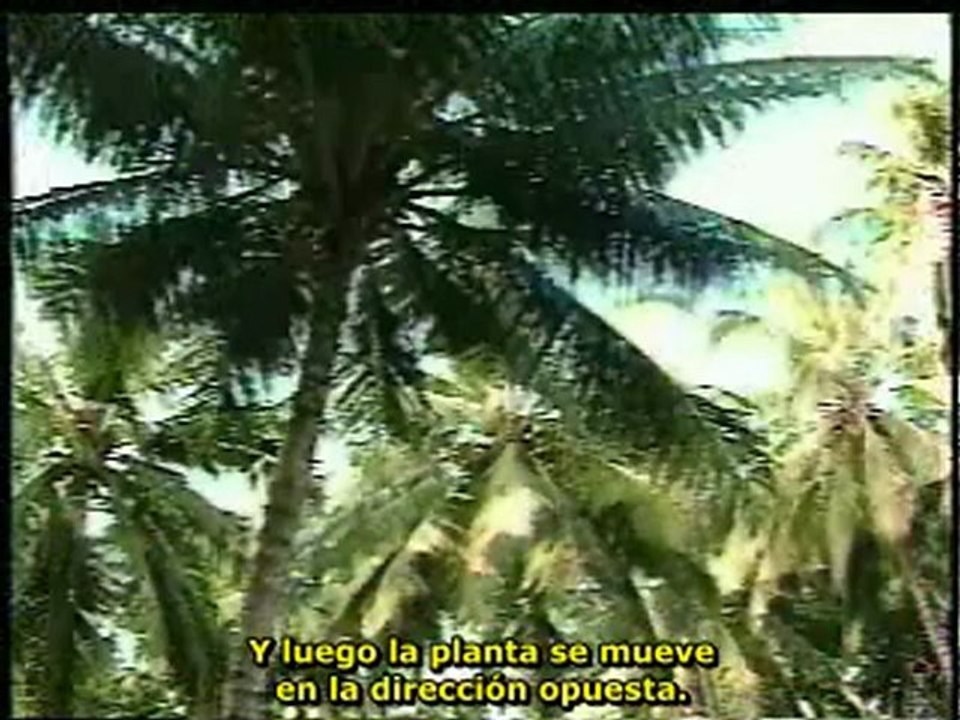 FUNDAMENTOS DE LA SABIDURÍA ETERNA - PARTE_2