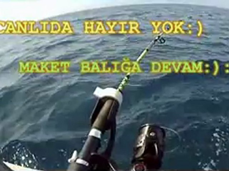 SAROS'DA SIRTI İLE TORİKLER....