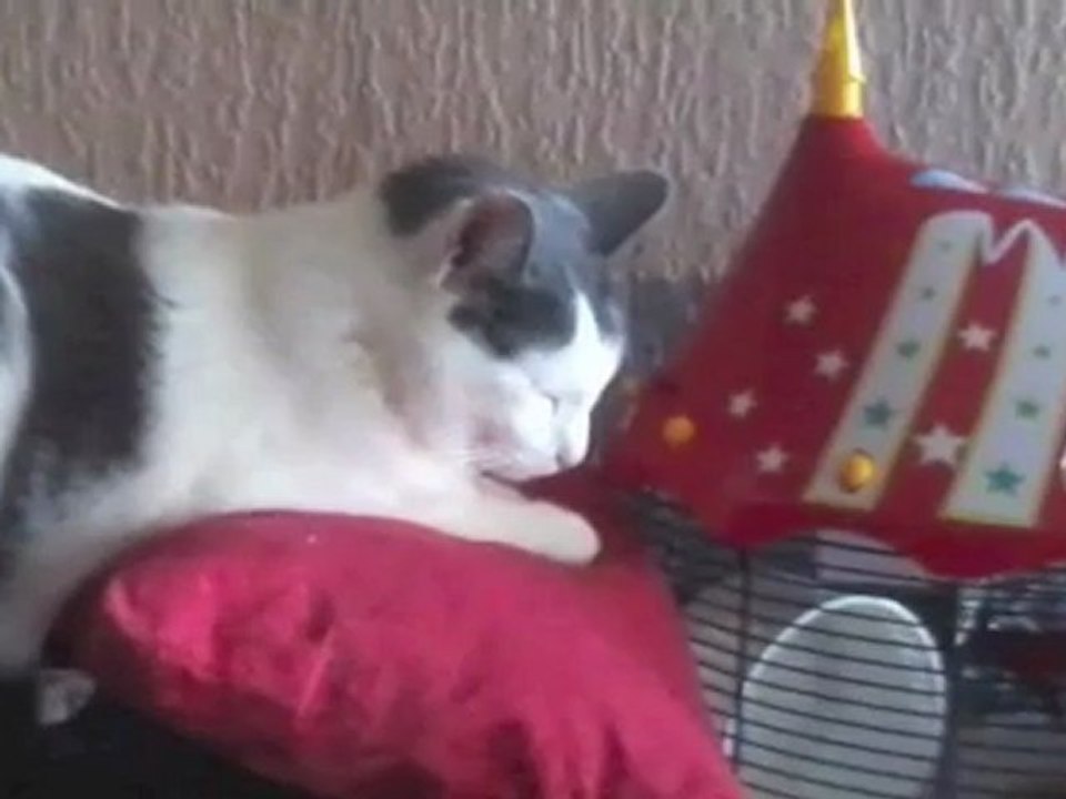 Poupouille 02.10.2012