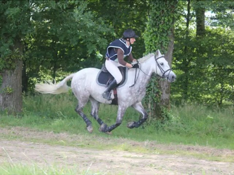CCE La Roche 17.06.12
