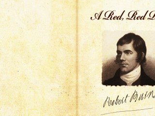 A Red, Red Rose by Robert Burns - Poetry Reading