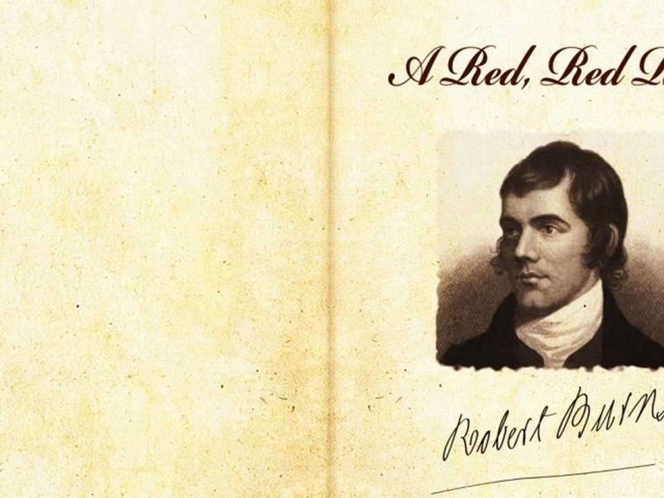 A Red, Red Rose by Robert Burns - Poetry Reading