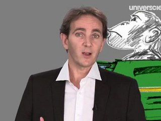 L'évolution de l'espèce humaine